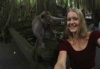 PICS: Woman Attempts Selfie With Monkey. Monkey Is NOT Impressed