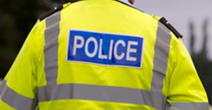 Roscommon Man Killed In Hit And Run Incident In Florida