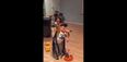 WATCH: Two-Year-Old Loves Nothing More Than A Jam To Bob Marley
