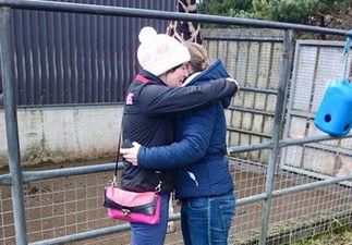 Are You Having A Giraffe? Cute Irish Proposal Goes Viral