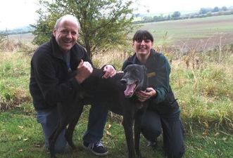 Jed The Dog Finally Finds A Home After Being Rejected By 14,000 Potential Owners