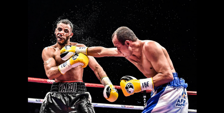 Some Of The Winning Photos From Last Night’s Press Photography Awards Are Just Brilliant