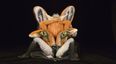 IN PICTURES: Body Painting Like You’ve Never Seen It Before