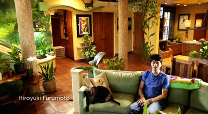 VIDEO: Love Cats? This Might Be Your Dream House