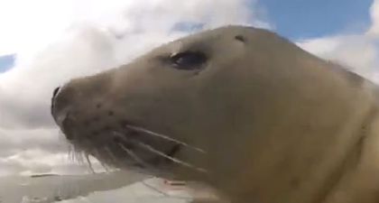 That’s Gas: The Funniest Video We’ve Seen This Week