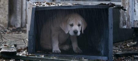 WATCH: Budweiser’s New Super Bowl Advert Is Guaranteed To Pull On the Heartstrings