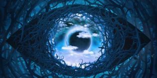 We Didn’t See That One Coming! Celebrity Big Brother Finalists Revealed