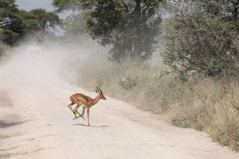 Home is Where Your Passport is: It’s Time For Africa!