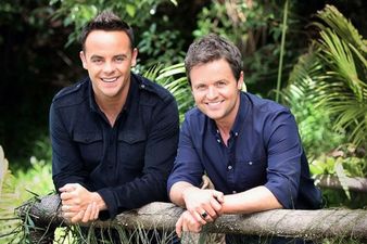 Ant And Dec Have Just Landed A Brand New Gig
