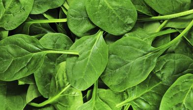 Woman Makes Horrific Discovery in Bag of Spinach