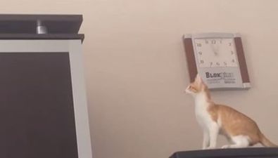 That’s Gas: The Funniest Video We’ve Seen This Week