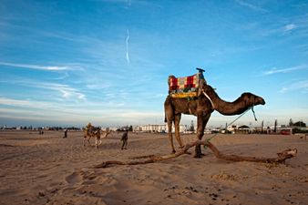 TRAVEL: Soak Up Some African Culture And Sun In Morocco