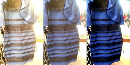 White And Gold or Black And Blue? The Dress That Divided The Internet