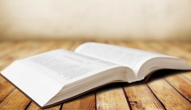 World Book Day… Our Favourite Quotes