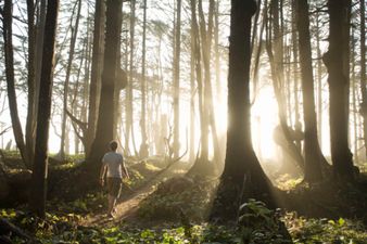 This New Dating Site Won’t Leaf You Feeling Stumped