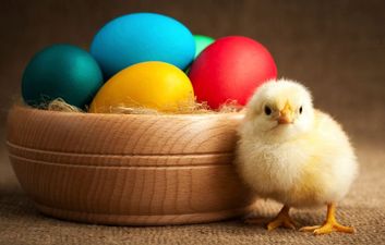 Good Idea, Bad Idea: Planning The Perfect Easter Weekend