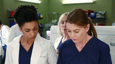 Grey’s fans in bits following death of main character