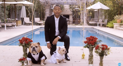 VIDEO: John Legend Performing at the Cutest Wedding EVER