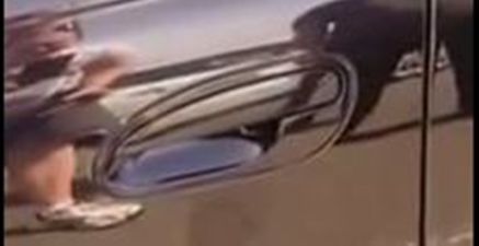 If You Don’t Like Spiders or Want to Get Into a Car Again, You Should Probably Avoid This Video