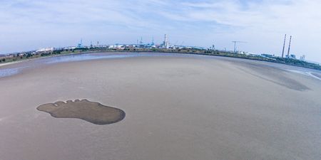 Children of the 80s – You’ll LOVE What Just Landed Back in Stores