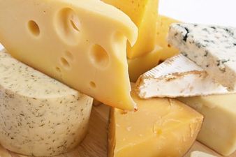 Nine Things Cheese Lovers Know About Life…