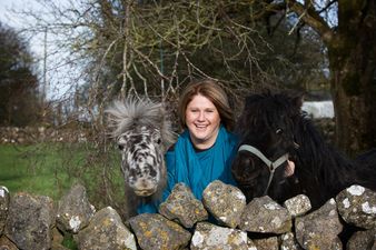 Irish Women In Business: Sinead Muldoon, Home From Home Ireland