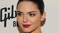 Kendall Jenner Flashes Some Serious Flesh on Instagram