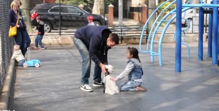 WATCH: One Man Tested Kids’ ‘Stranger Danger’ Awareness. The Results Are Frightening