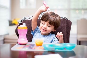 New Research Reveals Over 70 Per Cent Of Irish Parents Are Concerned About Their Toddler’s Nutrition