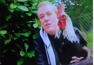 TV3’s Alan Hughes Was Attacked By A Cock On Live Television This Morning… And It’s As Funny As It Sounds