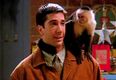 Marcel the Monkey’s trainer has been giving out about David Schwimmer