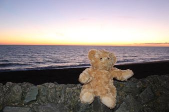 Heartbroken Irish Mother Appeals for Return of Lost Teddy Bear
