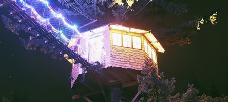 This Could Be The World’s Most Epic Treehouse