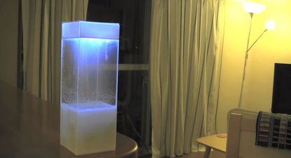 Tomorrow’s Weather. In a Box. On Your Table. Not Even Kidding.