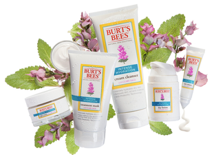 The Beauty Drop – Burt’s Bees Intense Hydration Collection