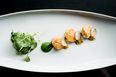 RECIPE – Seared Scallops With Watercress Puree, Watercress Salad, Passion Fruit and Radish