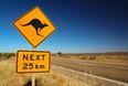Teens charged after killing 14 kangaroos in Australia