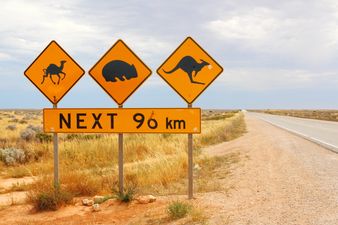 Home Is Where Your Passport Is: Road Tripping Down Australia’s West Coast