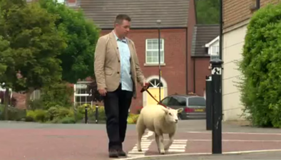 WATCH: This Irish Reporter Got More Than He Bargained For Working With A Lamb On Live TV