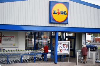 Beauty Fans Will Adore the Latest Special Buy at Lidl