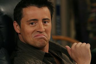 PICTURE: This GAA Fan Is The Absolute Image Of Matt LeBlanc