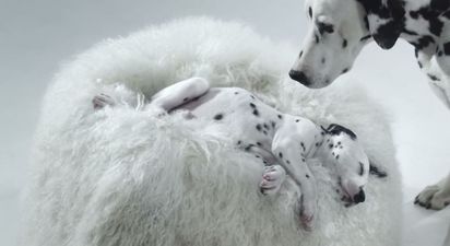 WIN! We’re giving away FIVE luxury skincare hampers with thanks to LaRoche-Posay