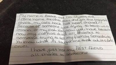 PIC: Twelve Year Old Pens Heartbreaking Letter After Her Cat Dies Following Cruel Prank