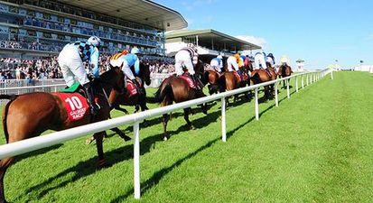 Sligo girl is looking for the Prince Charming she met at the Galway Races