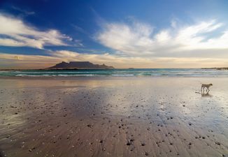 Home Is Where Your Passport Is: Explore The Beauty of South Africa
