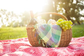 The ‘Pic Of The Bunch: Ireland’s Favourite Picnic Spots Revealed!