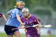 Wexford Book Their Spot In All-Ireland Semi-Final Following Nail-Biting Win Over Dublin