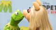 Miss Piggy and Kermit The Frog Announce Their Break-Up…Via Twitter