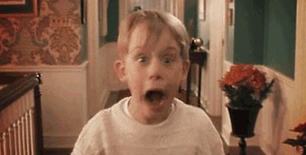 The Flying Ants Are Back… Twitter Freaks Out