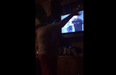 WATCH: This Irish Mammy Dancing Around The Telly Is The Only Thing You Need To See Today